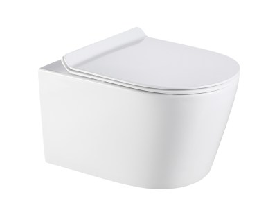Agena Rimless Wall Hung Toilet Pan LK-AG104WHP