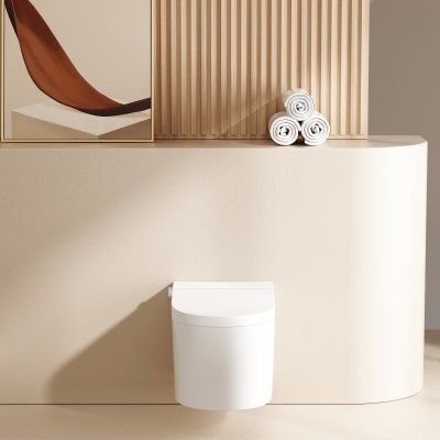 Wall face Pan for Evo Smart Toilet LK-LK-EVSMT-WHP
